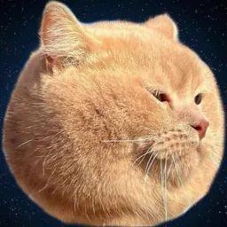 catball 