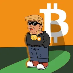 $BTCTRUMP