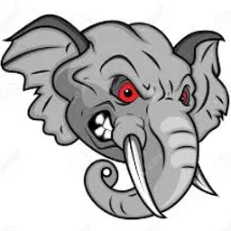 ELEPHANT COIN