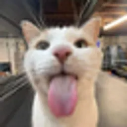 SILLY