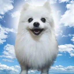 GABE