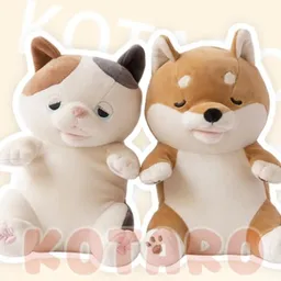 KOTARO