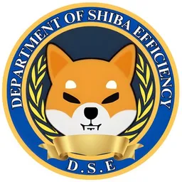 DSE