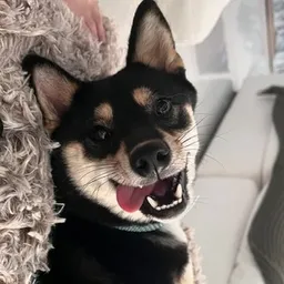ALFIE