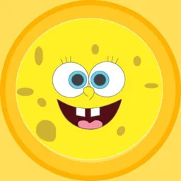 SPONGS