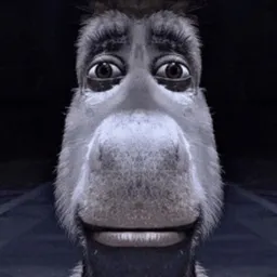 DONKAY