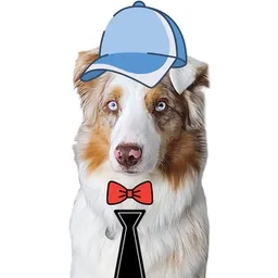 DOGBUZZ