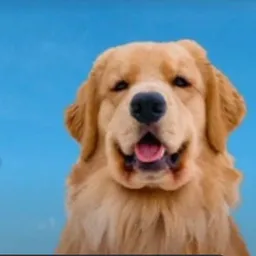 TUCKER