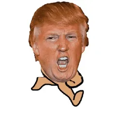 TRUMPRUN