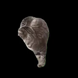spincat