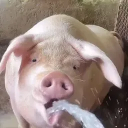Thirsty