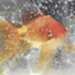 NEMO