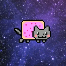 SPACENYAN