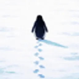 Pengy