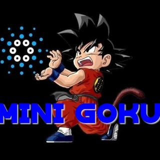 MiniGoku