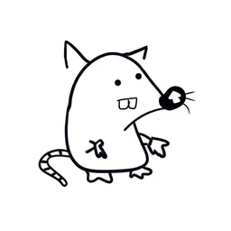 rat