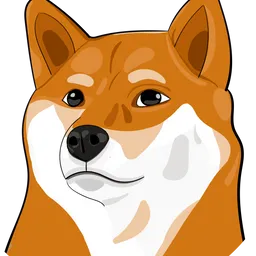 SHIBETOSHI