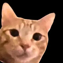 CAM