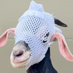 wGOAT