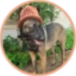 BHAT