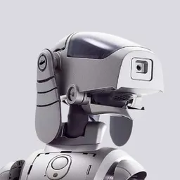 AIBO