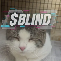 BLIND