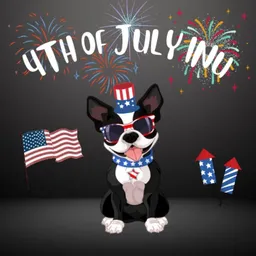 $4thJulyInu