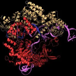 CRISPR