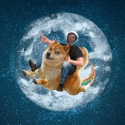 DOGEMOON