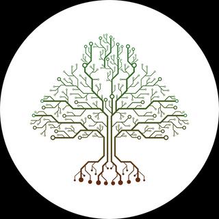 CEDARS