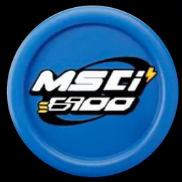 MSCI6900