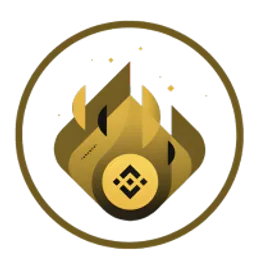 BNB BURN token logo