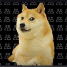 $DOGE