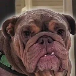 Eddie
