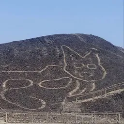 NazCat