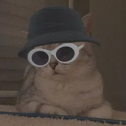 CATWIF