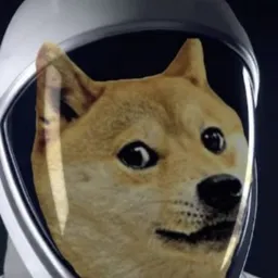 DOGS