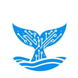 DSS