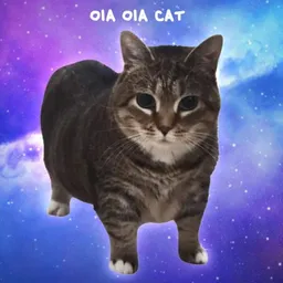 oiacat