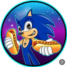 HSONIC