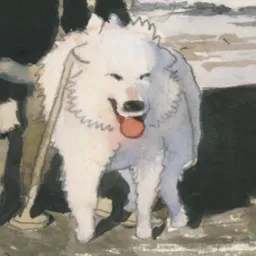 pet