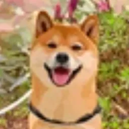 TAO