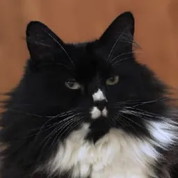 MARLEY