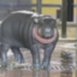 IROHA