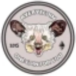 AYECOIN