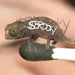 BROOKY