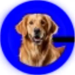 Buddy 