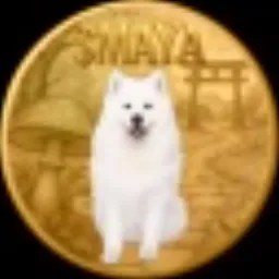 MAYA