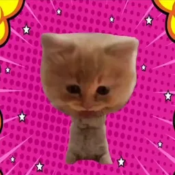Pumpcat
