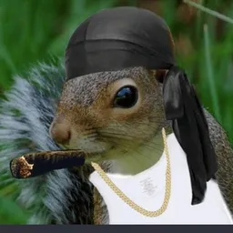 BLACKNUT